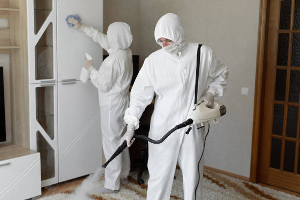 Professional Mold Remediation in Louisville, KY